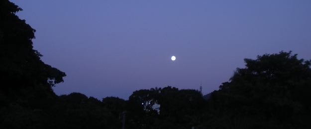 Foto de Juan Luis Delmont_Amanecerá