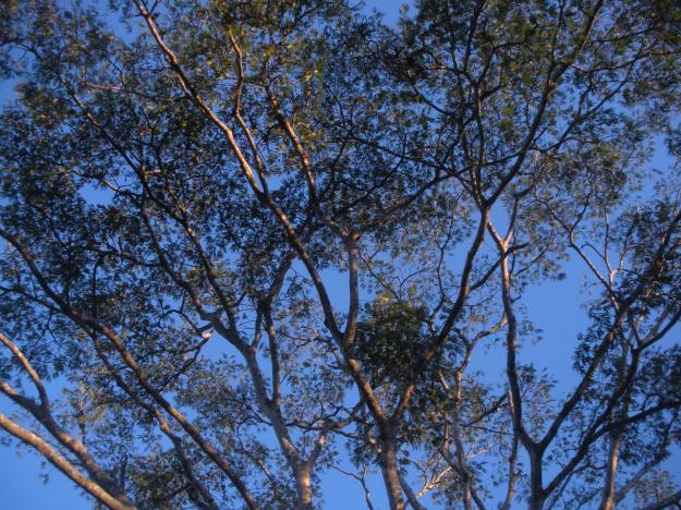 Foto de Juan Luis Delmont_La luz del amanecer de esta mañana